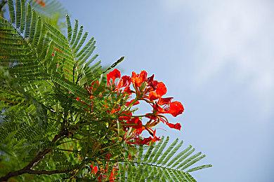 玩家发现售价5刀的《战地2042》 引发粉丝激烈讨论